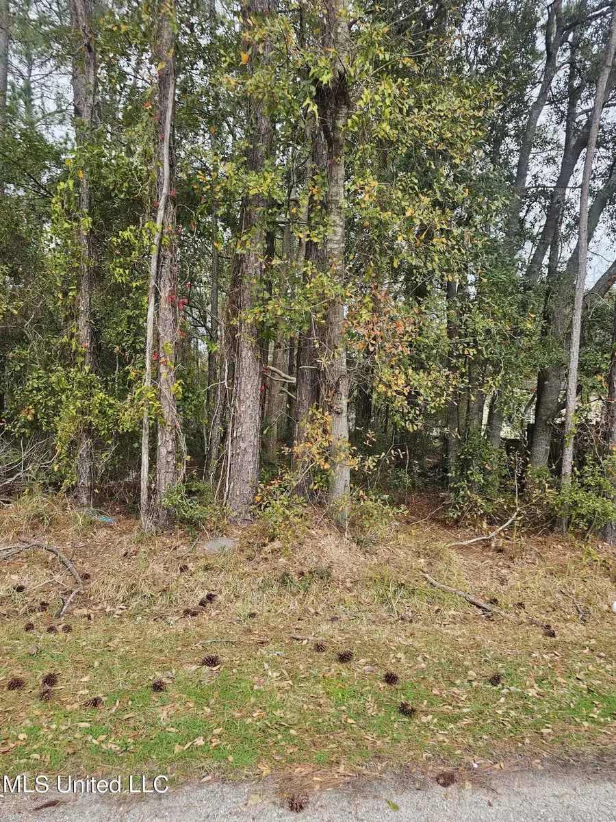 E Clay Street, Bay Saint Louis, MS 39520 - Image #3