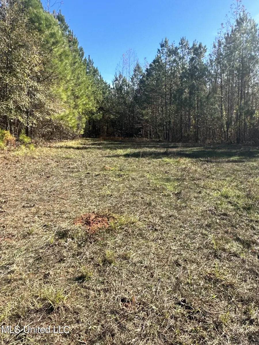 Hickory Fellowship Road, Hickory, MS 39332 - Image #3