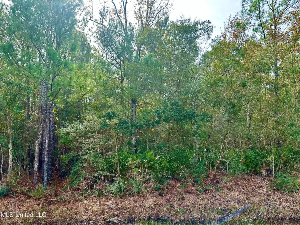 00 Beach Street, Ocean Springs, MS 39564 - Image #1