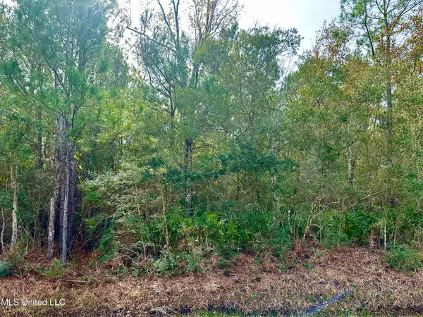 0 Beach Street, Ocean Springs, MS 39564