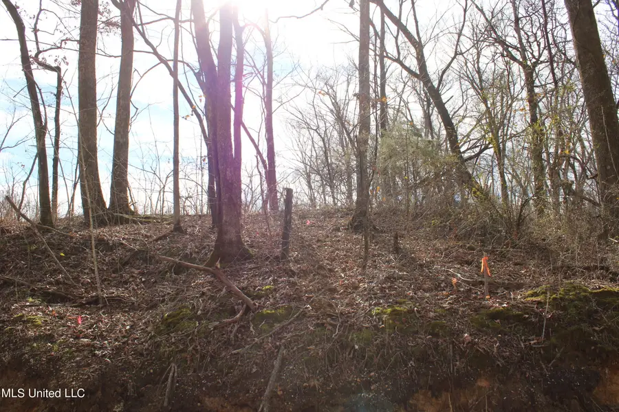 2167 Hogan Road, Holly Springs, MS 38635 - Image #2