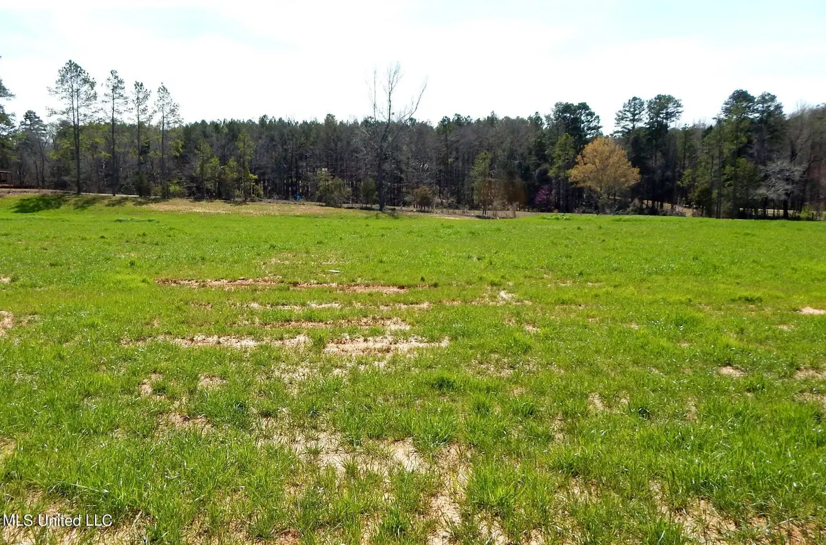 4 Graysport Crossing Road, Gore Springs, MS 38929 - Image #1