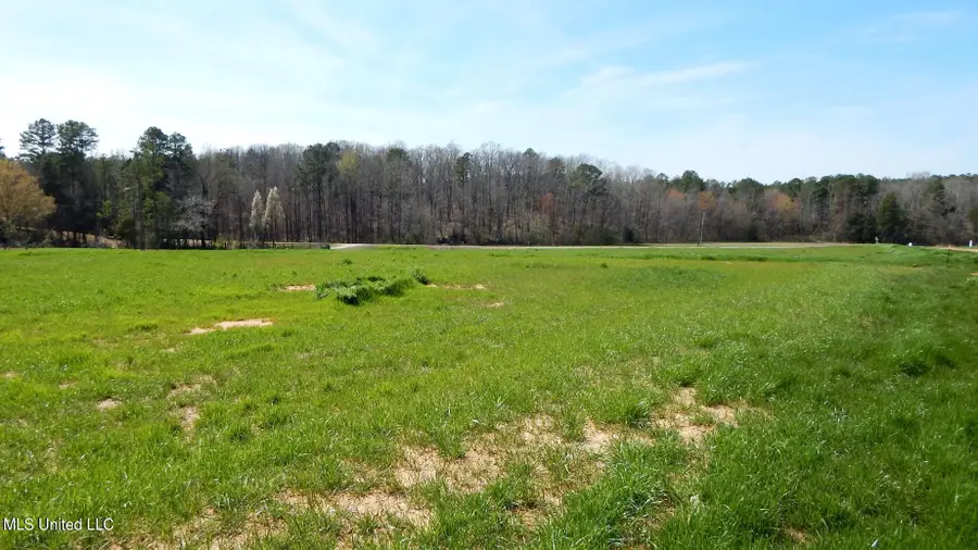 4 Graysport Crossing Road, Gore Springs, MS 38929 - Image #3