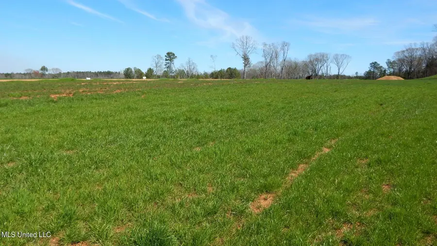 5 Graysport Crossing Road, Gore Springs, MS 38929 - Image #2