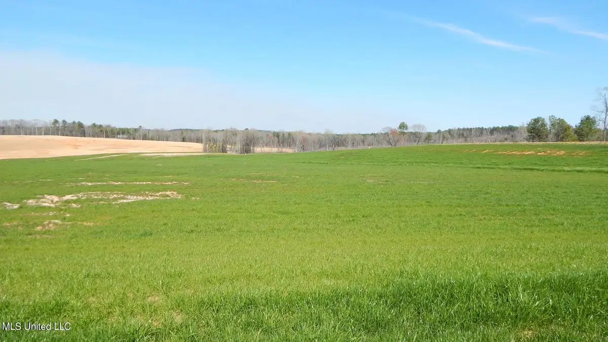 6 Graysport Crossing Road, Gore Springs, MS 38929 - Image #1