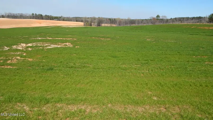 6 Graysport Crossing Road, Gore Springs, MS 38929 - Image #3