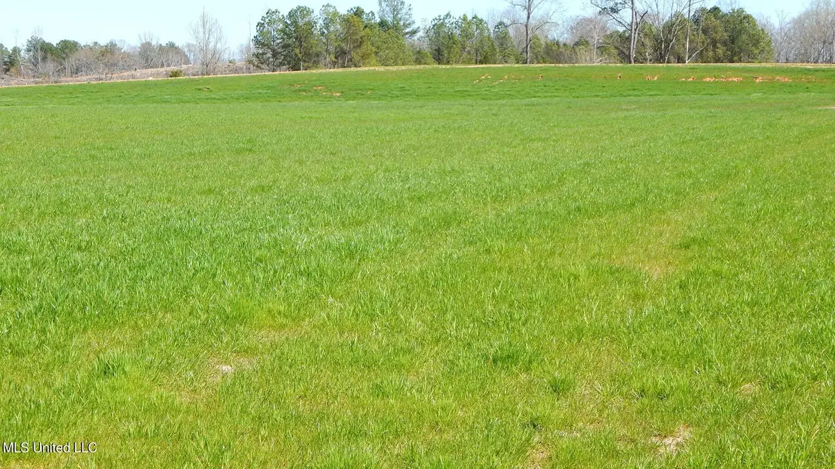 7 Graysport Crossing Road, Gore Springs, MS 38929 - Image #1