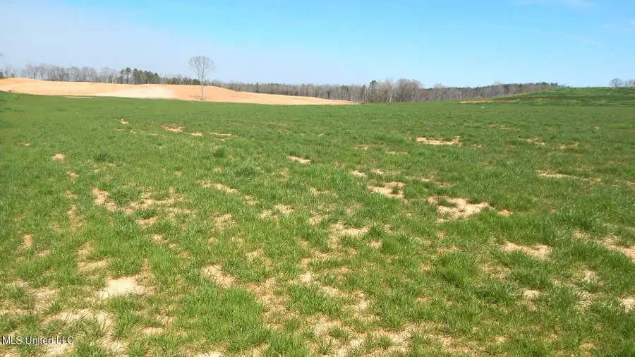 8 Graysport Crossing Road, Gore Springs, MS 38929 - Image #2