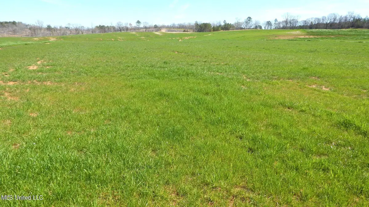 769 Graysport Crossing Road, Gore Springs, MS 38929 - Image #1