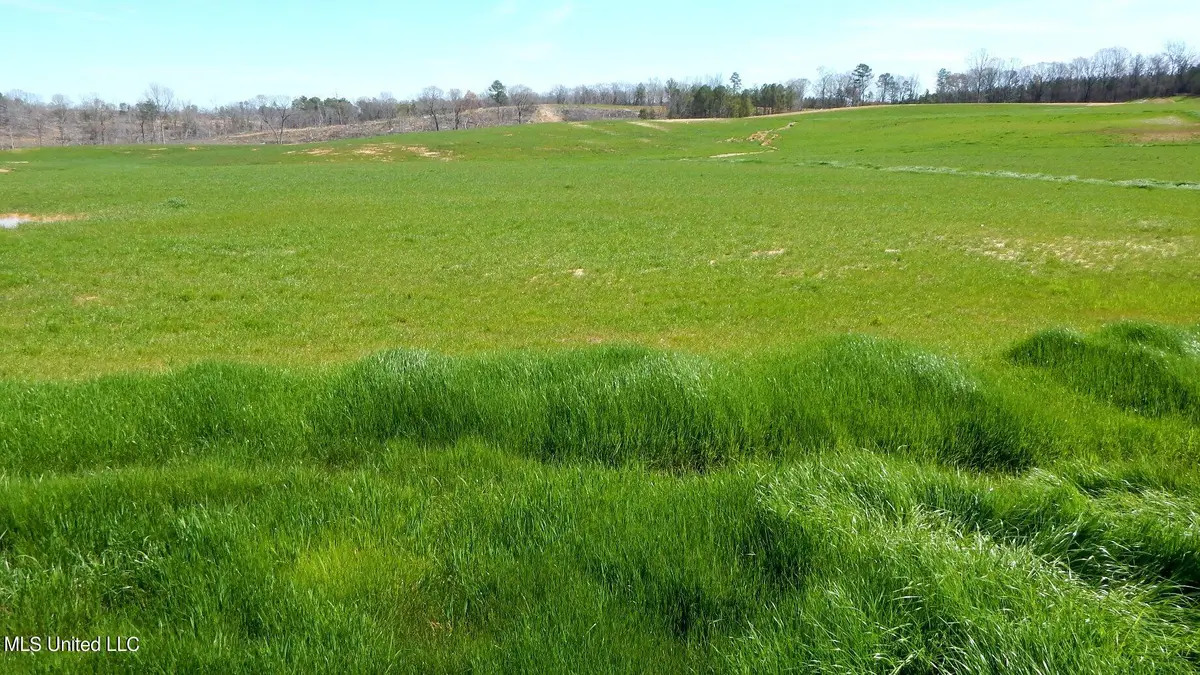 779 Graysport Crossing Road, Gore Springs, MS 38929 - Image #1