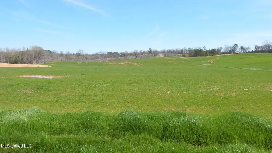 779 Graysport Crossing Road, Gore Springs, MS 38929 - Image #2