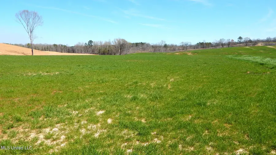 779 Graysport Crossing Road, Gore Springs, MS 38929 - Image #3