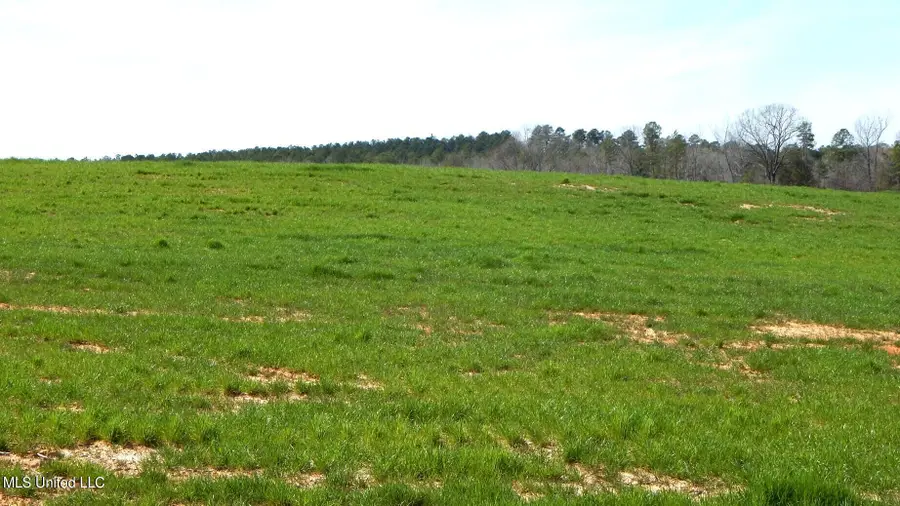 686 Graysport Crossing Road, Gore Springs, MS 38929 - Image #2