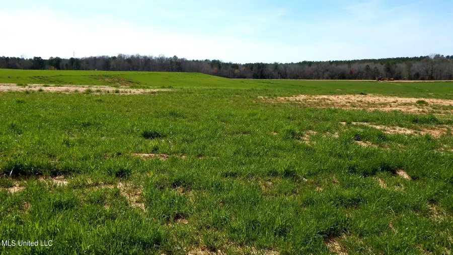 686 Graysport Crossing Road, Gore Springs, MS 38929 - Image #3