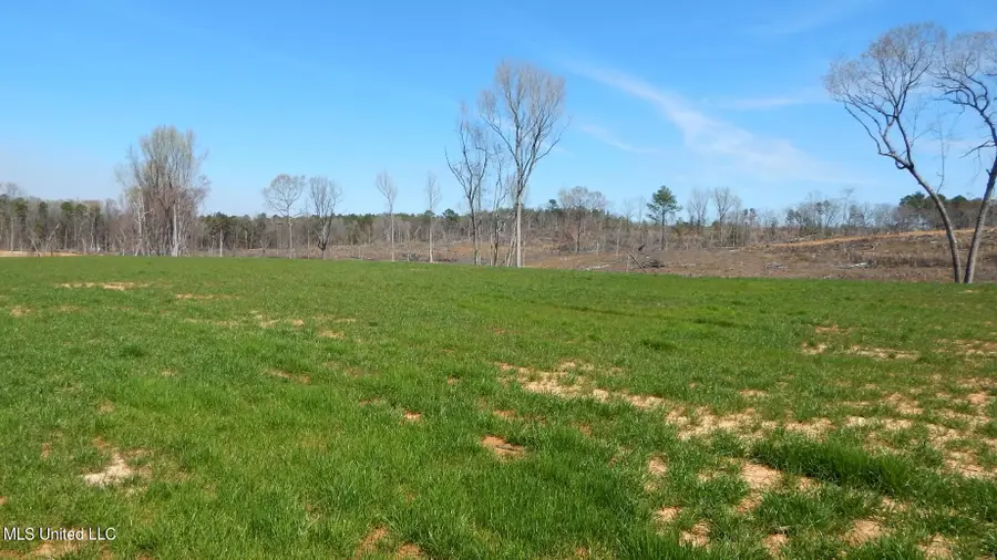 688 Graysport Crossing Road, Gore Springs, MS 38929 - Image #3