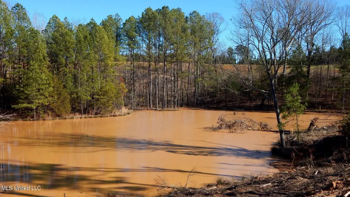 732 Graysport Crossing Road, Gore Springs, MS 38929 - Image #1