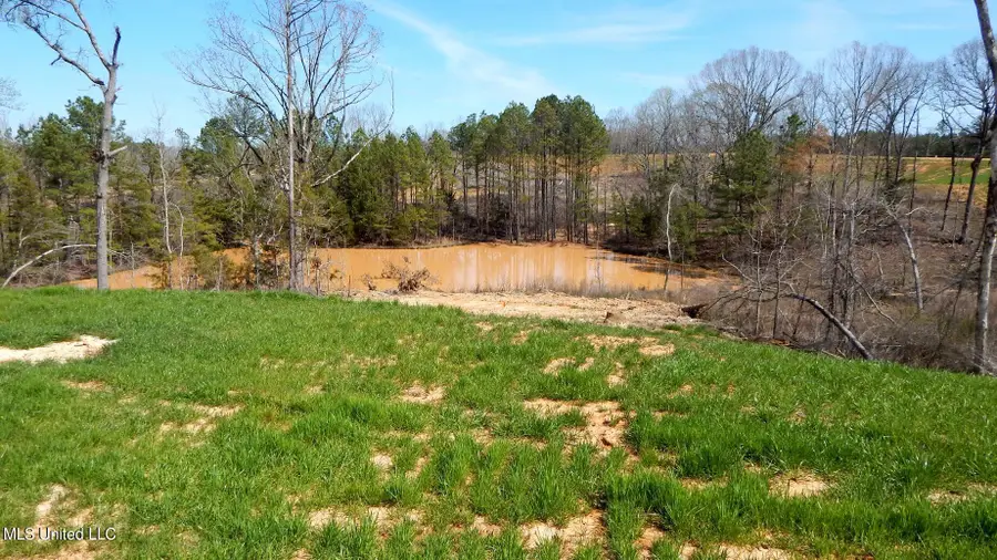 732 Graysport Crossing Road, Gore Springs, MS 38929 - Image #2