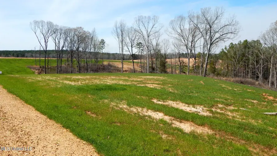 706 Graysport Crossing Road, Gore Springs, MS 38929 - Image #2