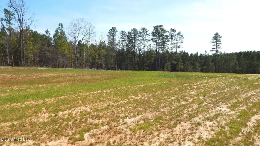 706 Graysport Crossing Road, Gore Springs, MS 38929 - Image #3