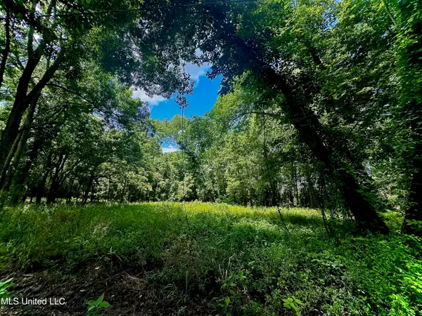 5792 Lake Mary Road, Woodville, MS 39669