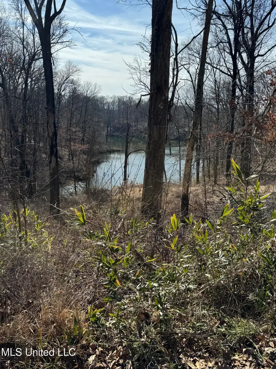 1944 Konawa Road, Hernando, MS 38632 - Image #3