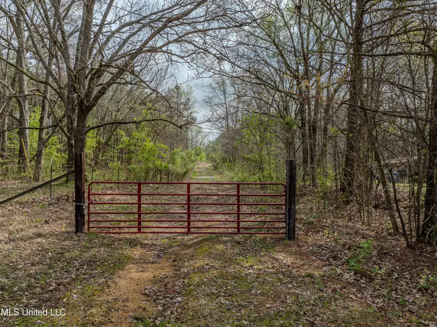 560 N Malone, Hernando, MS 38632 - Image #2