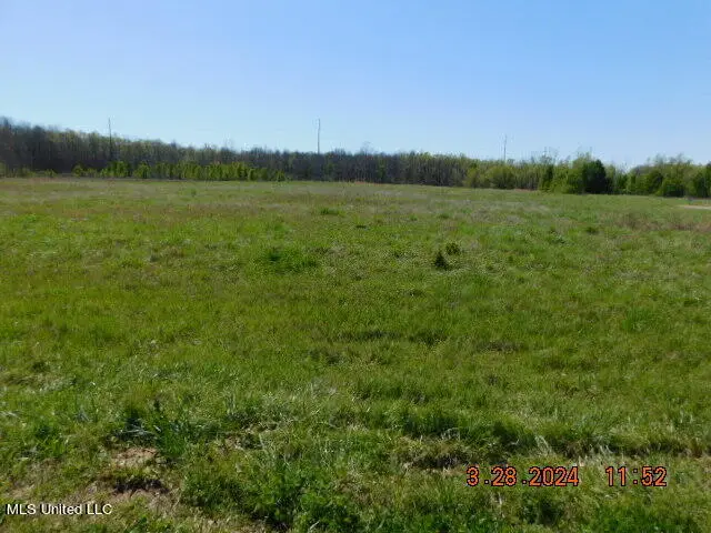 14243 Stockade Drive, Olive Branch, MS 38654 - Image #1