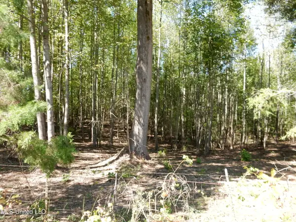 Lot 1 Cypress Corner Road, Senatobia, MS 38668