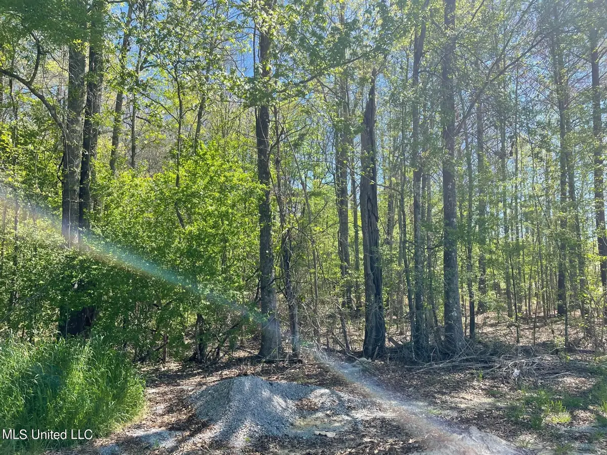 108 Holly Bush Road, Brandon, MS 39047 - Image #1