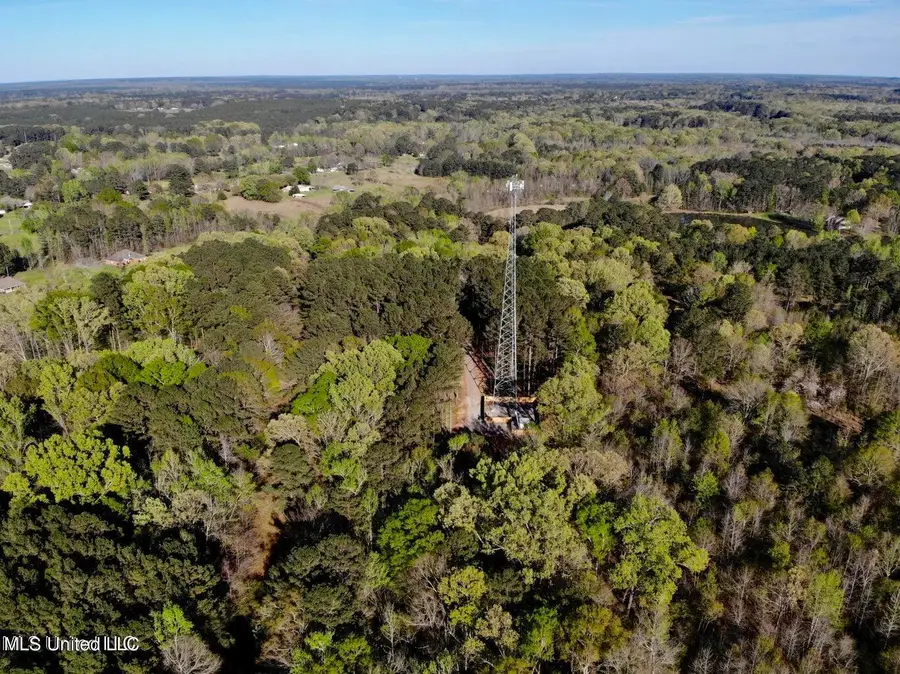 Trickhambridge Road, Brandon, MS 39042 - Image #2