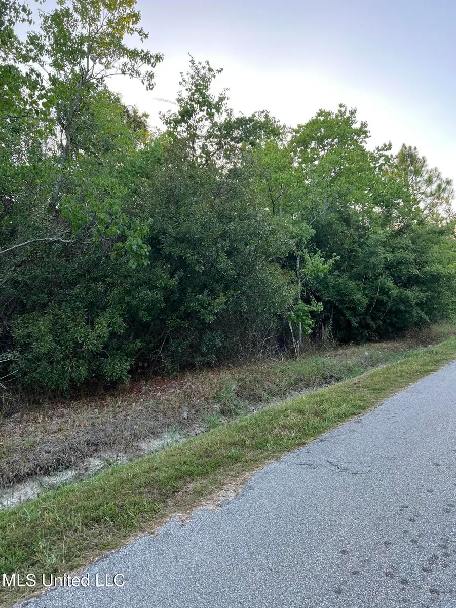 Sandy Street, Waveland, MS 39576 - Image #2