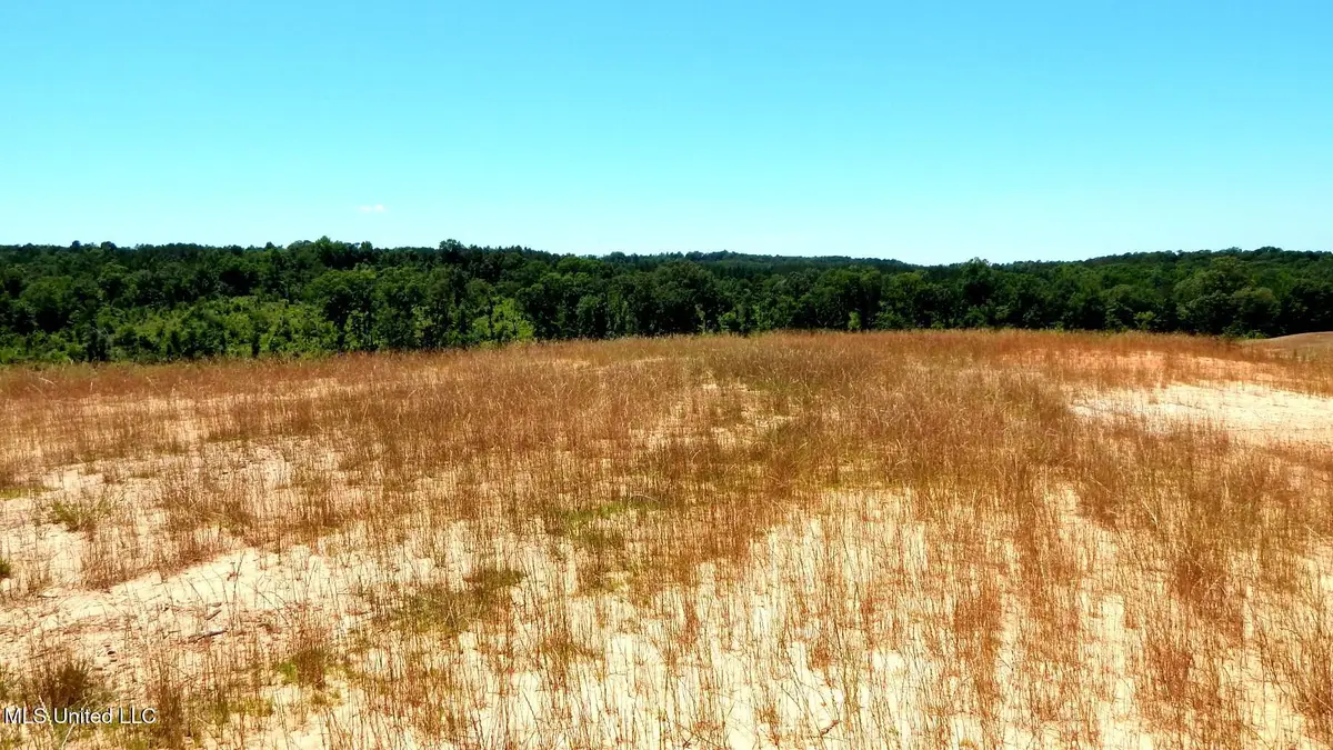 103 Hugh White State Park Road, Grenada, MS 38901 - Image #1