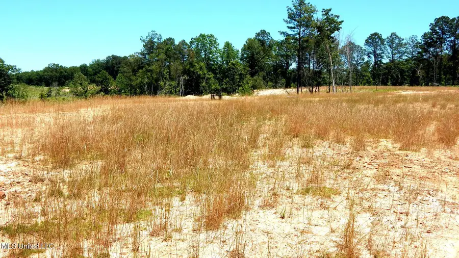 103 Hugh White State Park Road, Grenada, MS 38901 - Image #3