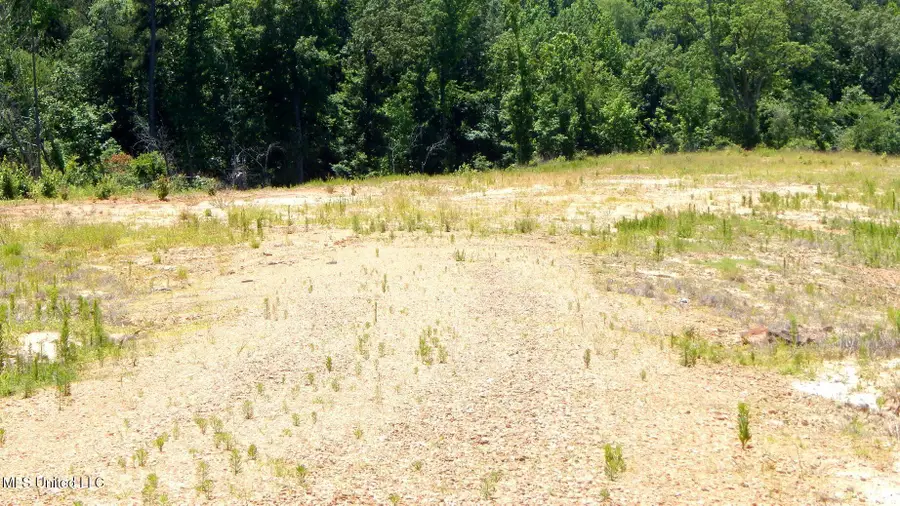 806 Hugh White State Park Road, Grenada, MS 38901 - Image #2