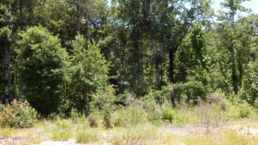 806 Hugh White State Park Road, Grenada, MS 38901 - Image #3