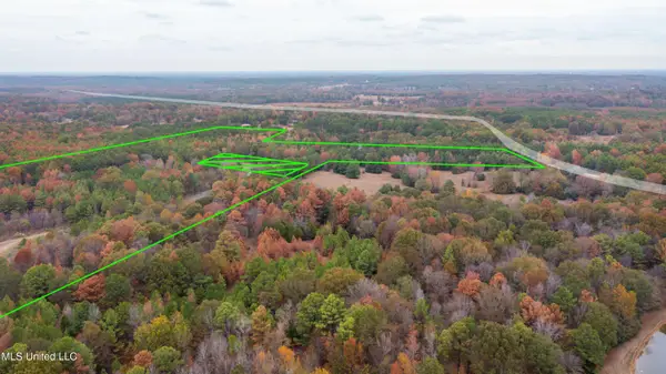 Robinson Springs Road, Madison, MS 39110