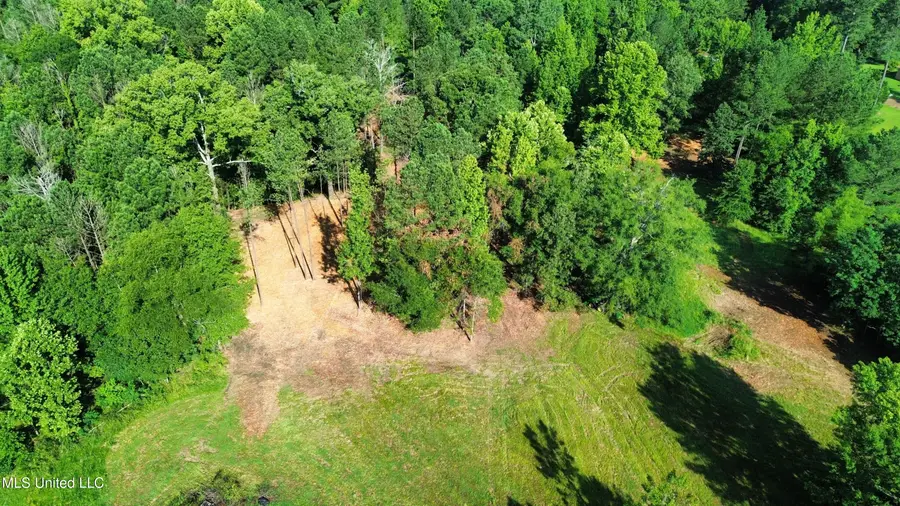Robinson Springs Road, Madison, MS 39110 - Image #3