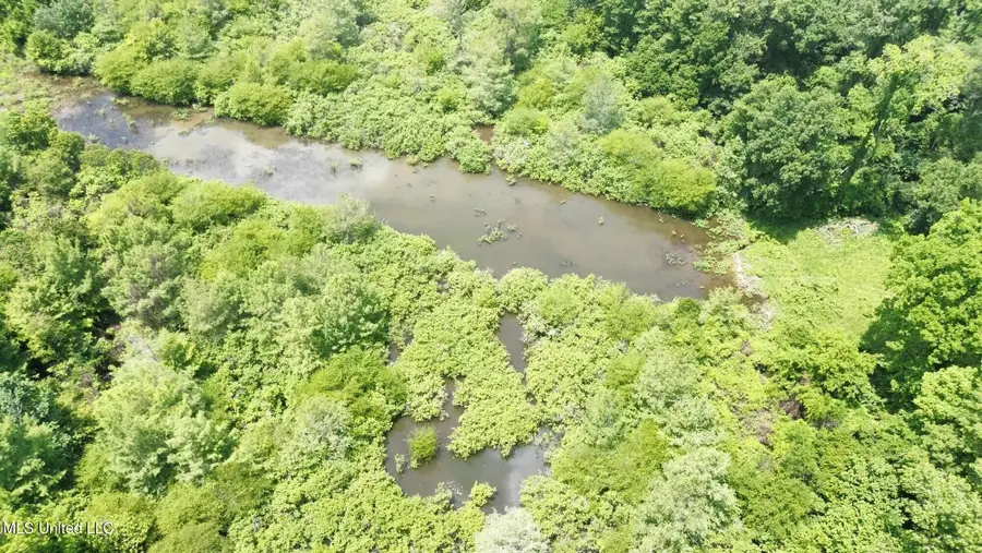 Sawmill Road, Shaw, MS 38773 - Image #2