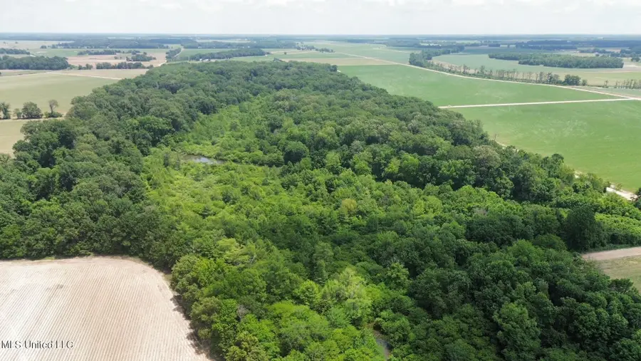 Sawmill Road, Shaw, MS 38773 - Image #3