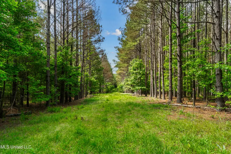 Spring Road, Flora, MS 39071 - Image #2