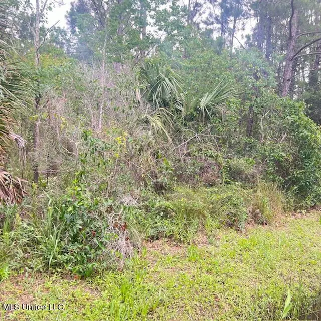 L 3 Blk322 Ohio Street, Bay Saint Louis, MS 39520 - Image #1