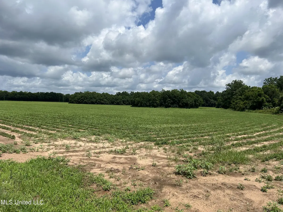 28 Acres Harmon Pope Road, Lucedale, MS 39452 - Image #1