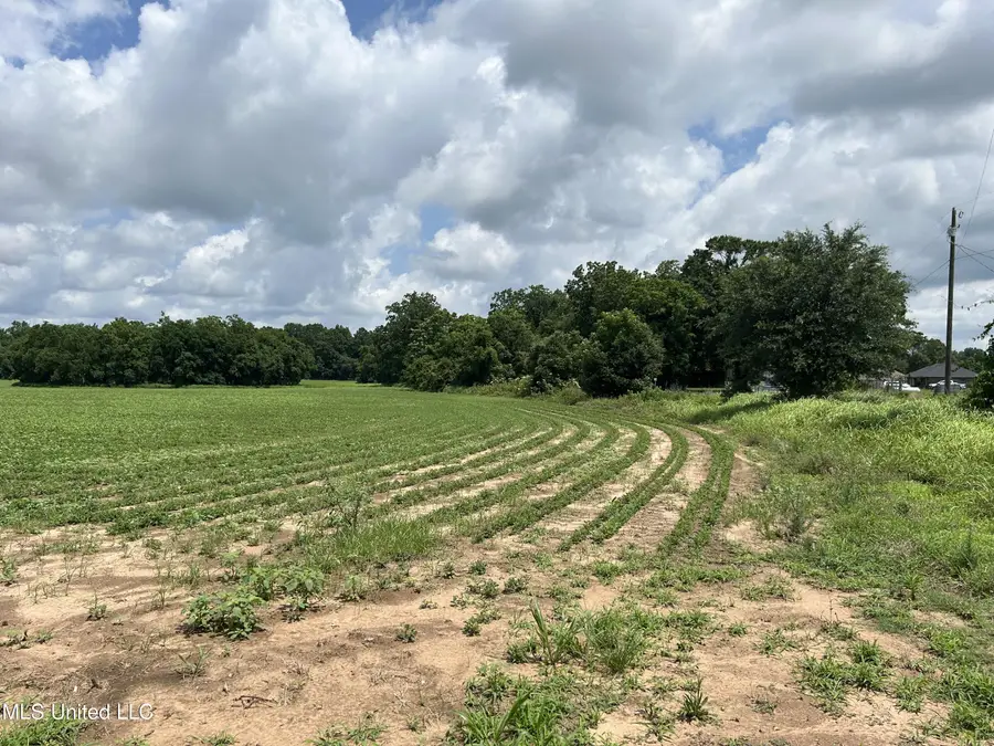 28 Acres Harmon Pope Road, Lucedale, MS 39452 - Image #3