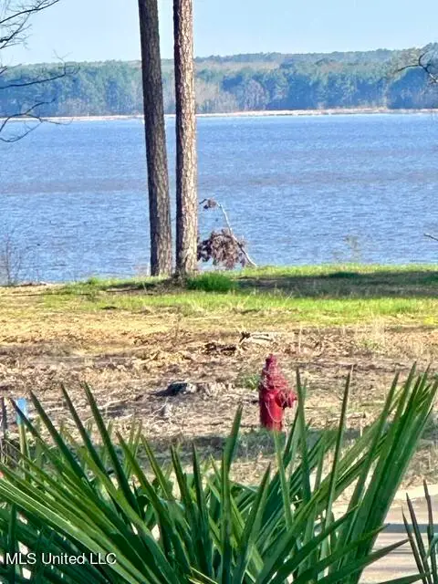Lot 23 Neptune Shore, Canton, MS 39046 - Image #2