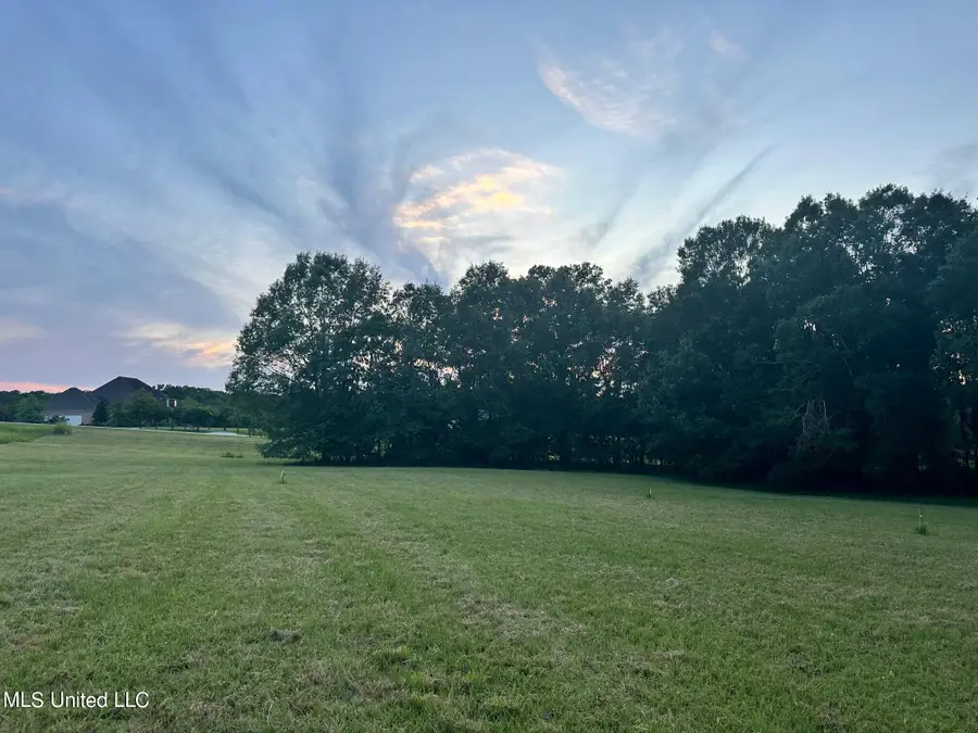 107 Chestnut Hill Road Road, Flora, MS 39071 - Image #2