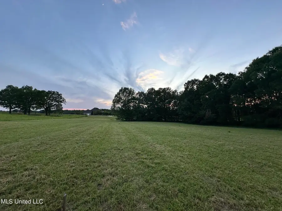 107 Chestnut Hill Road Road, Flora, MS 39071 - Image #3