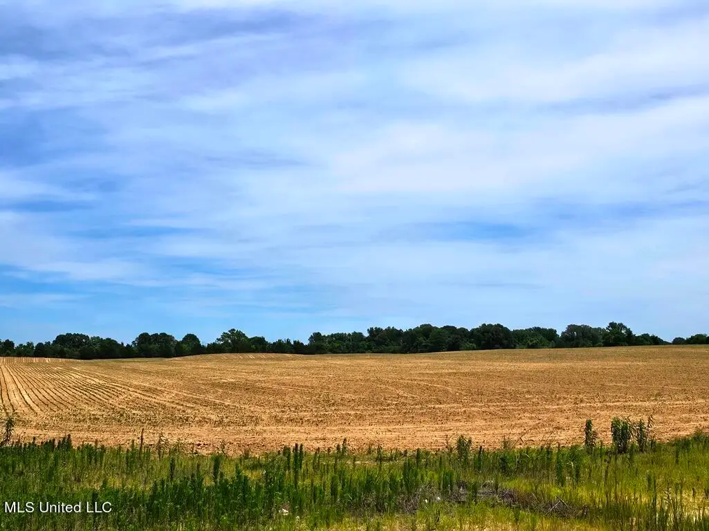 Shands Bottom Road Road, Senatobia, MS 38668 - Image #1