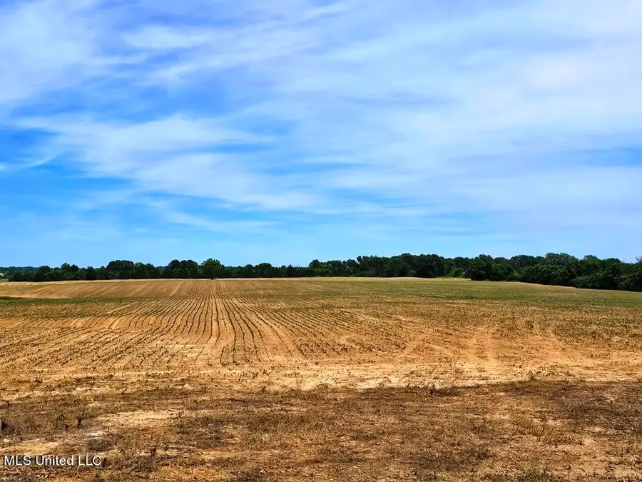 Shands Bottom Road Road, Senatobia, MS 38668 - Image #3