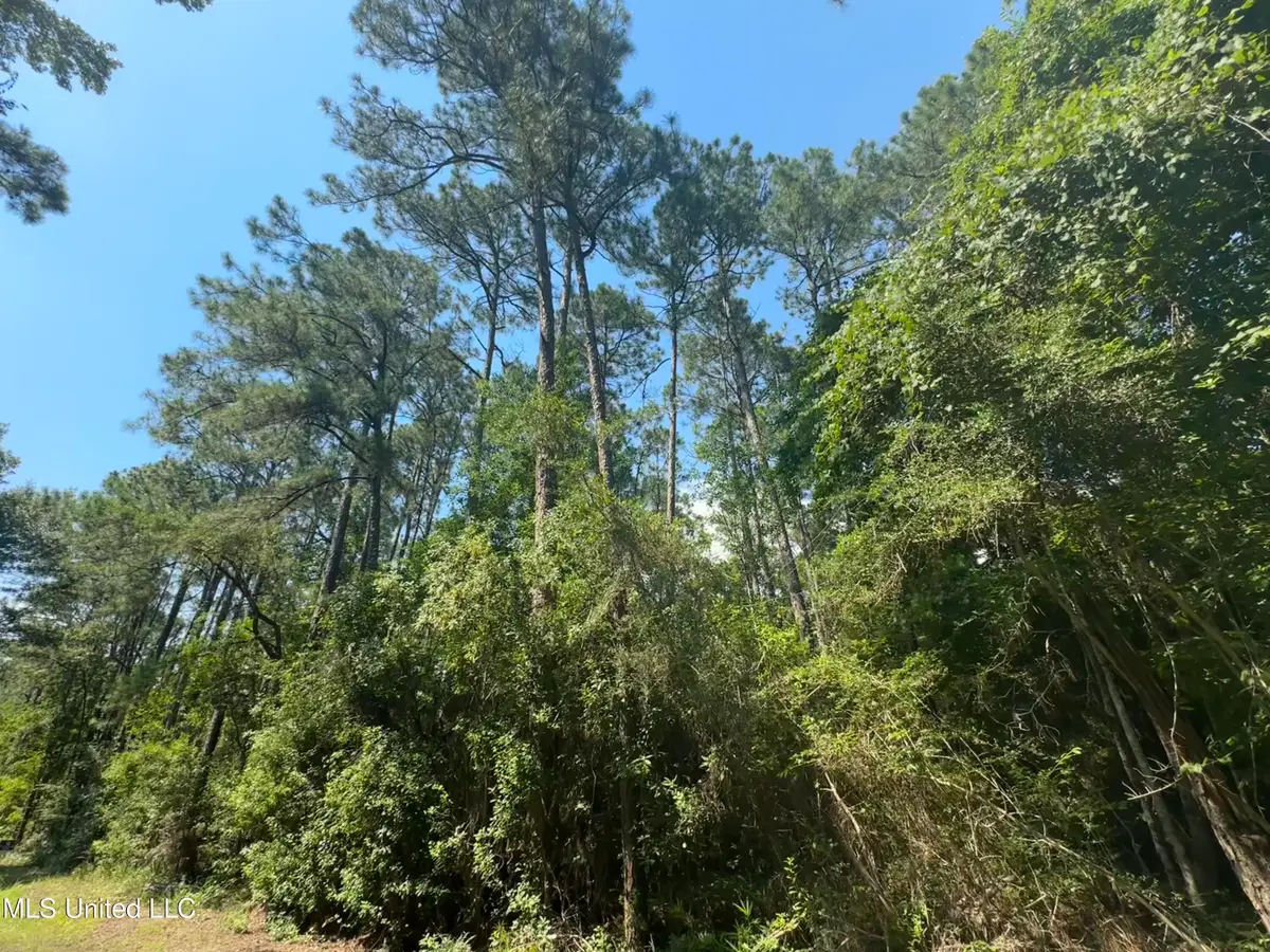 Lot 2633 Sycamore Street, Ocean Springs, MS 39564 - Image #1