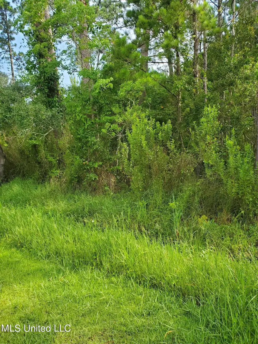 00 1st Avenue, Bay Saint Louis, MS 39520 - Image #3